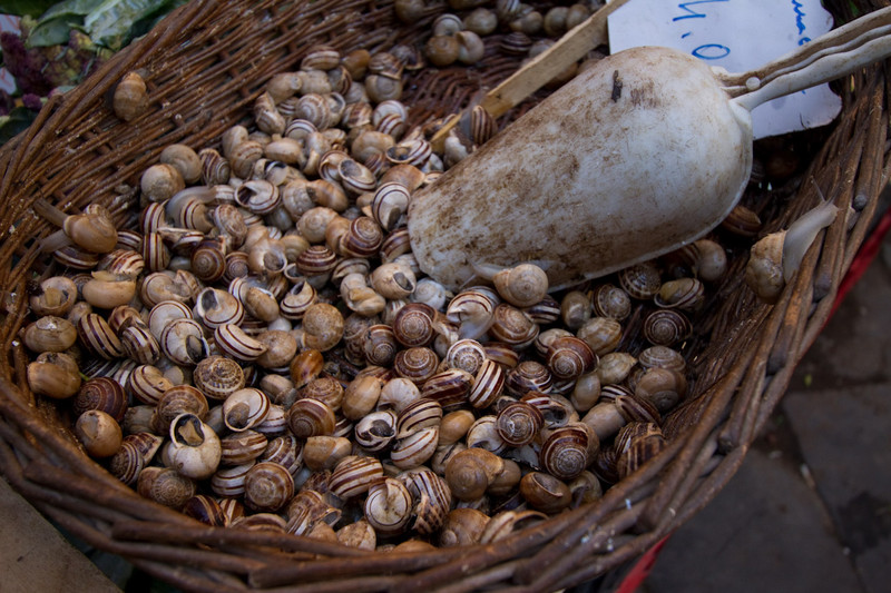 snails in the Catania street market