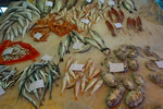 Catania fish market
