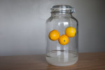 Let sit for 1 week.   Remove the lemons and pour off the vodka leaving the unabsorbed sugar in the jar.  Enjoy.