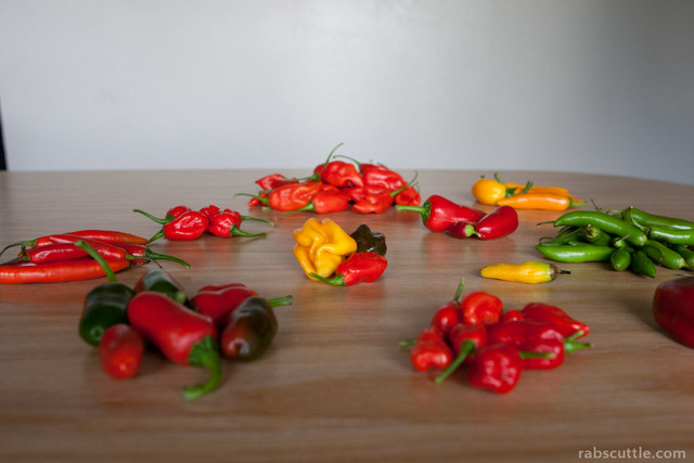 201101015peppers001