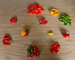 201101015peppers003